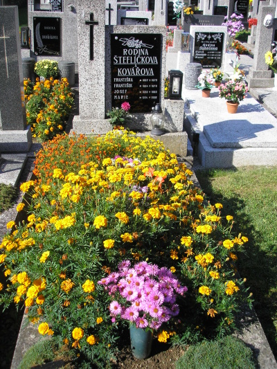 České hřbitovy