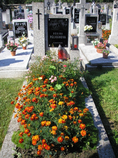 České hřbitovy