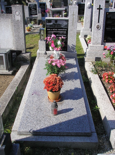 České hřbitovy