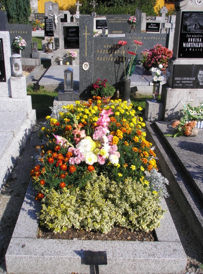 České hřbitovy