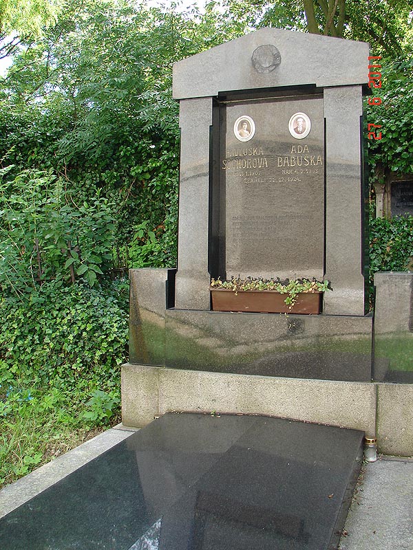 České hřbitovy