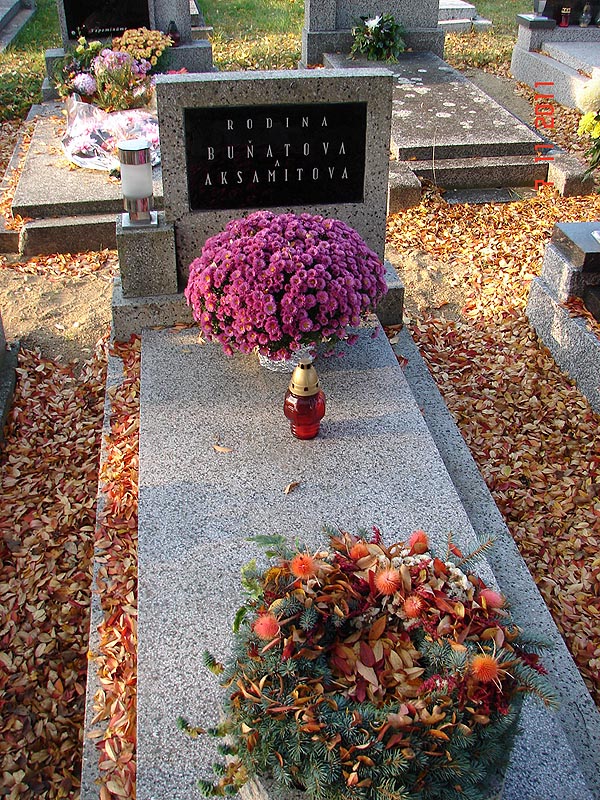 České hřbitovy
